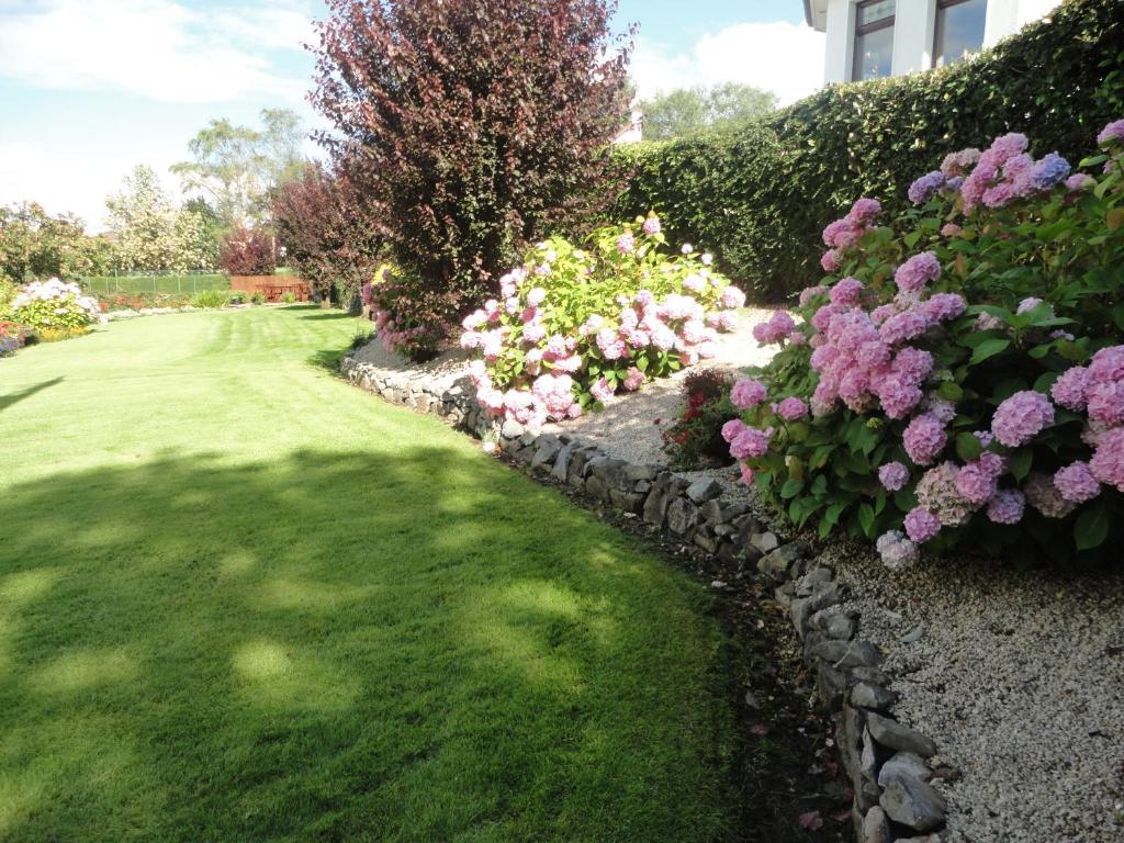 Millhouse B&B Ballymote Exteriör bild