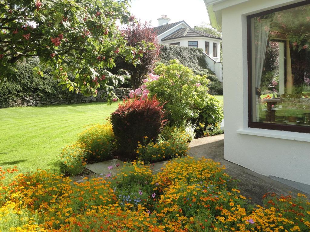 Millhouse B&B Ballymote Exteriör bild