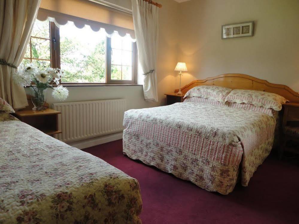 Millhouse B&B Ballymote Exteriör bild